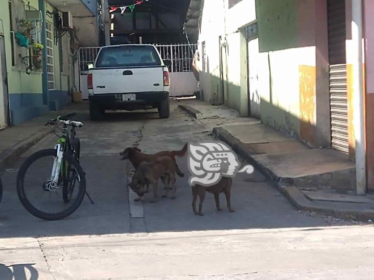 Intensa movilización en Córdoba por presunto levantón (+video)