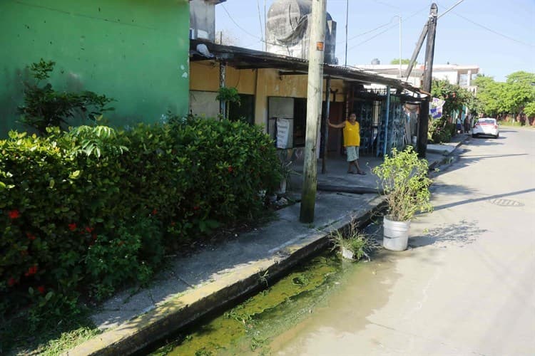 Entre aguas negras; urgen por solución en colonia de Coatzacoalcos (+Video)