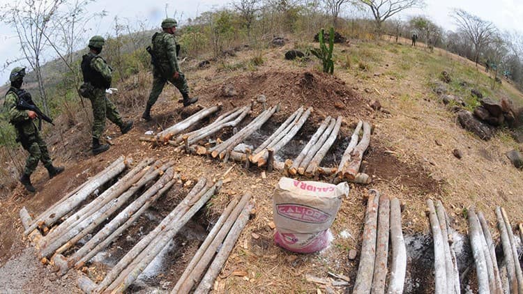 Veracruz, con 647 fosas clandestinas con restos, reporta Comisión Nacional de Búsqueda