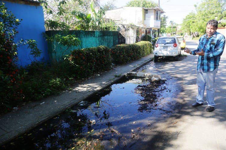 Entre aguas negras; urgen por solución en colonia de Coatzacoalcos (+Video)