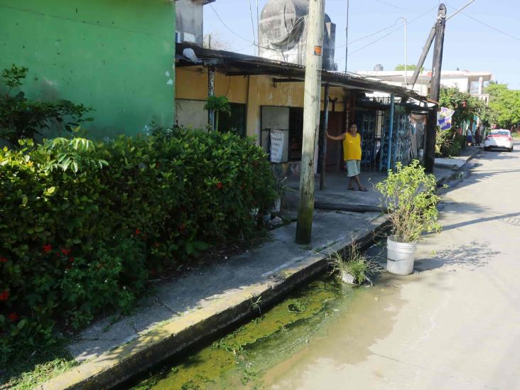 Entre aguas negras; urgen por solución en colonia de Coatzacoalcos (+Video)