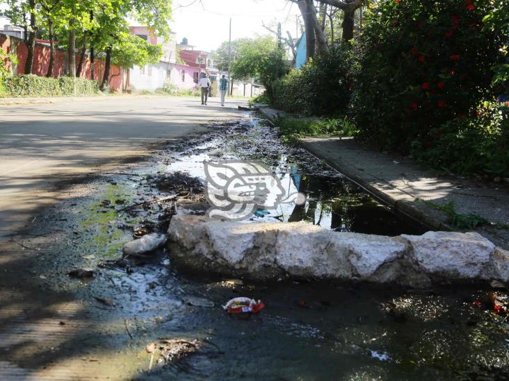 Entre aguas negras; urgen por solución en colonia de Coatzacoalcos (+Video)