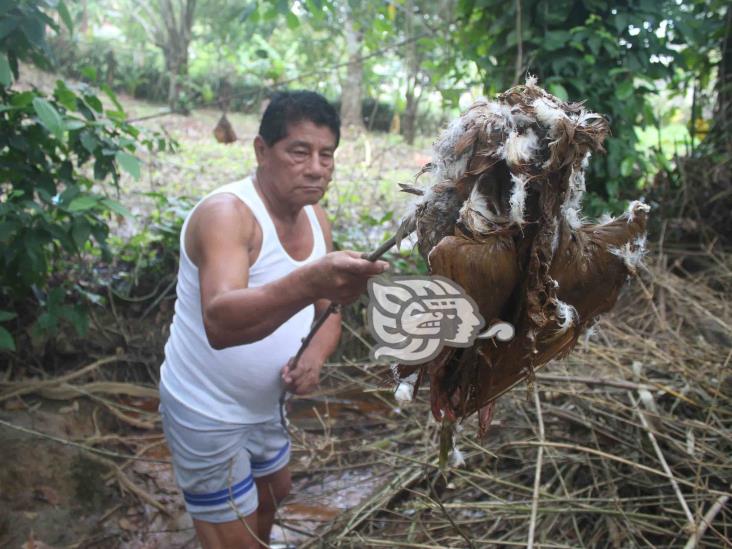 Sector Salud investigará calidad de agua en la colonia 1005; han muerto animales