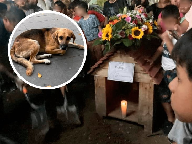 Muere Parque, mascota adoptada por pobladores de Actopan