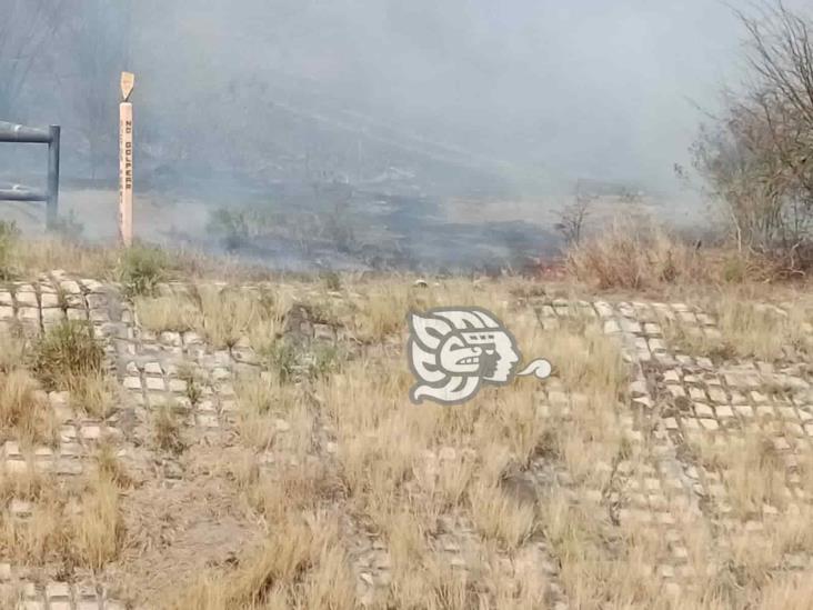 Incendio de pastizal se sale de control y pone en riesgo a ductos en Nogales