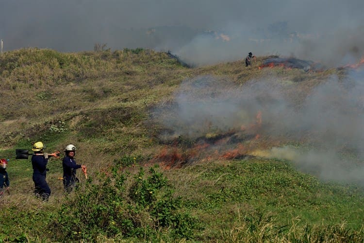 Incendio de pastizales sofocan al poniente de la ciudad; habrá más alertan autoridades (+Video)