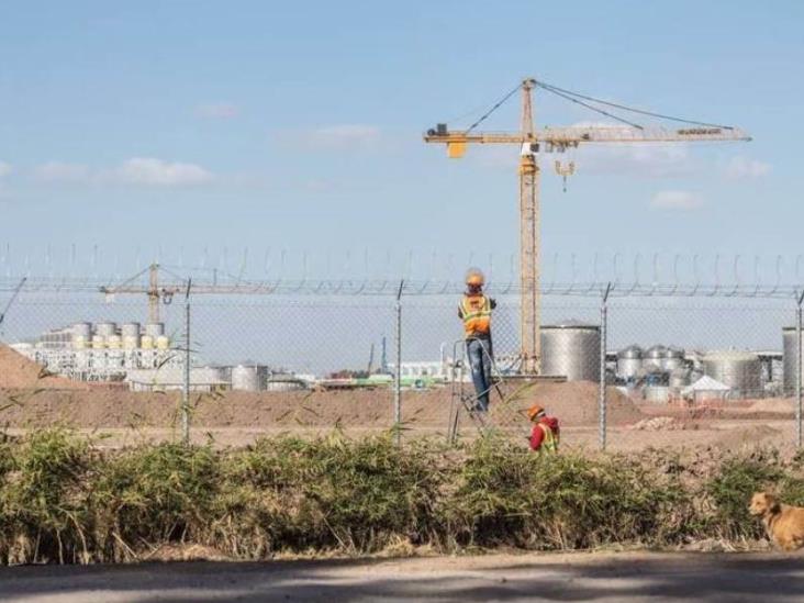 Dan a Constellation Brands 6 meses más para trasladarse a Veracruz