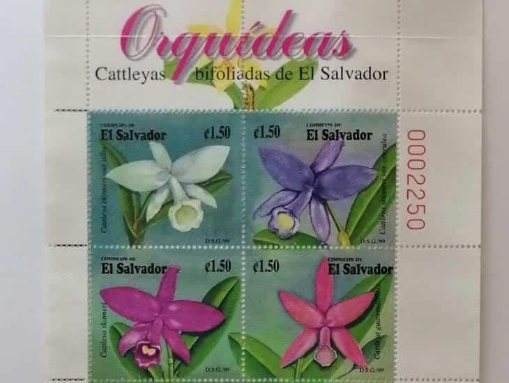 Llega exposición Orquídeas a Casa Museo Salvador Díaz Mirón