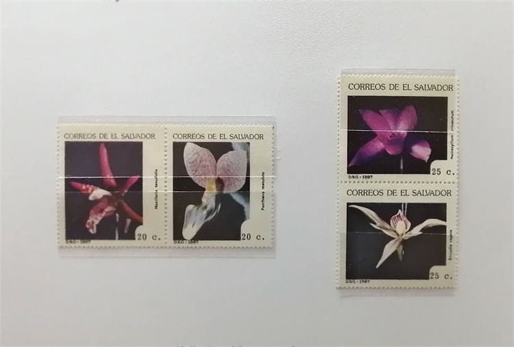 Casa Museo Salvador Díaz Mirón exhibe exposición filatélica Orquídeas