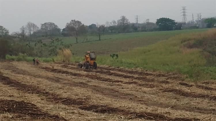 Cortador de caña, aplastado por alzadora en Amatlán