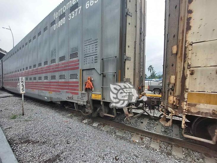 Abren nueva ruta de transporte en Río Blanco