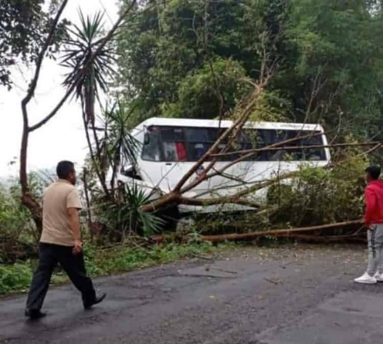 Por poquito; autobús casi cae a un barranco en Coscomatepec