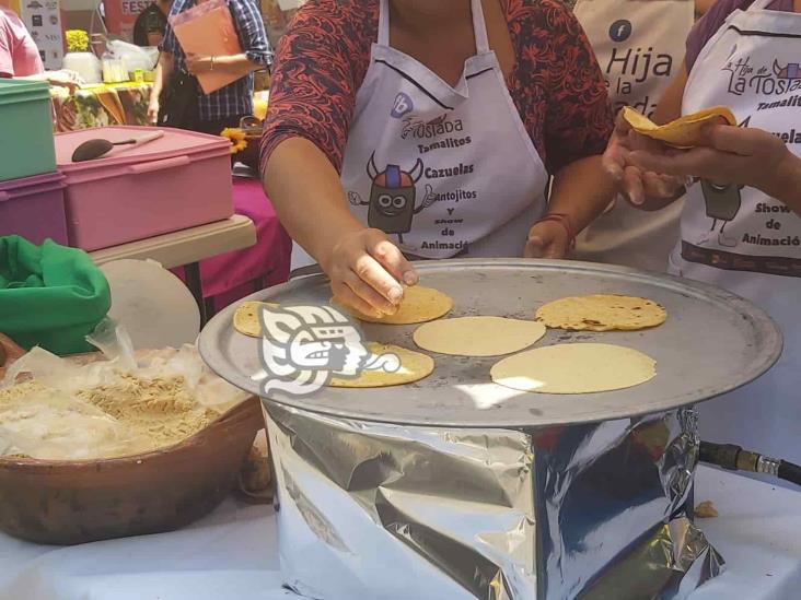 Espera Consejo Gastronómico Veracruzano importante derrama económica en Feria del Taco en Xalapa (+Video)