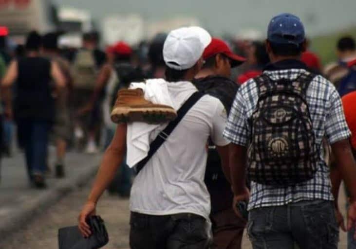 Funcionarios y policías, presunta red de polleros en Veracruz