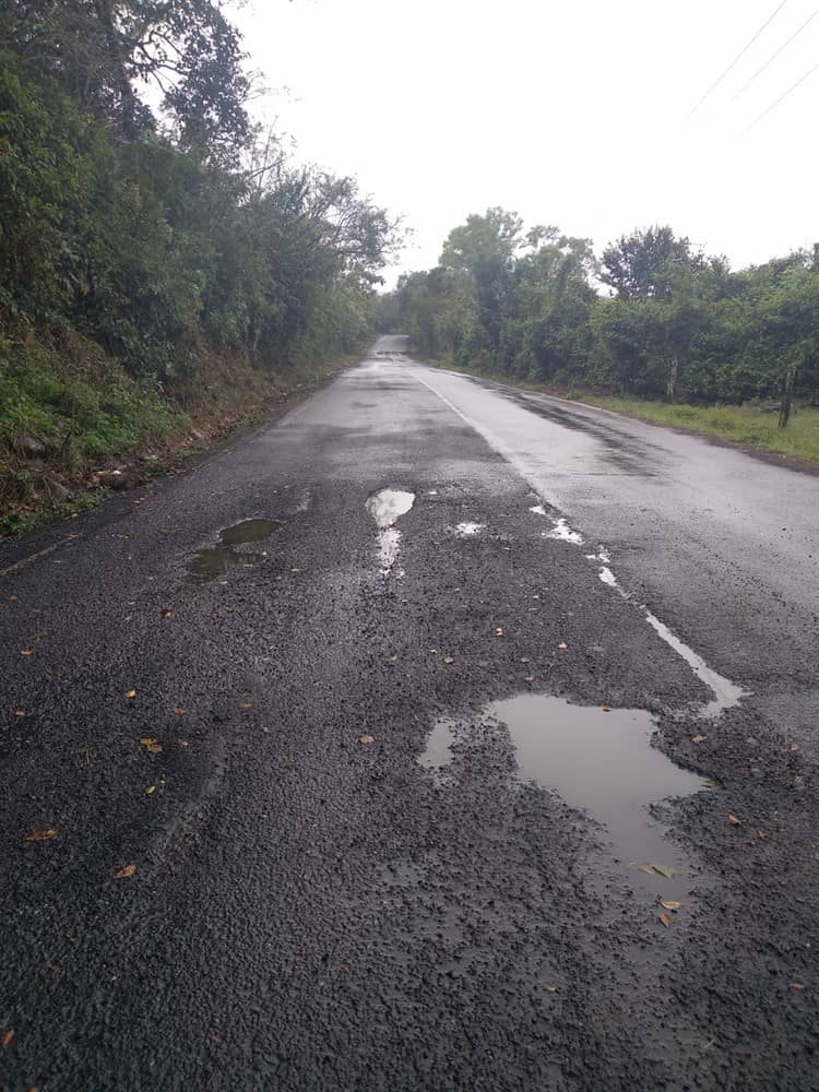 Padres de familia de kínder tapan baches de la carretera Misantla-El Diamante