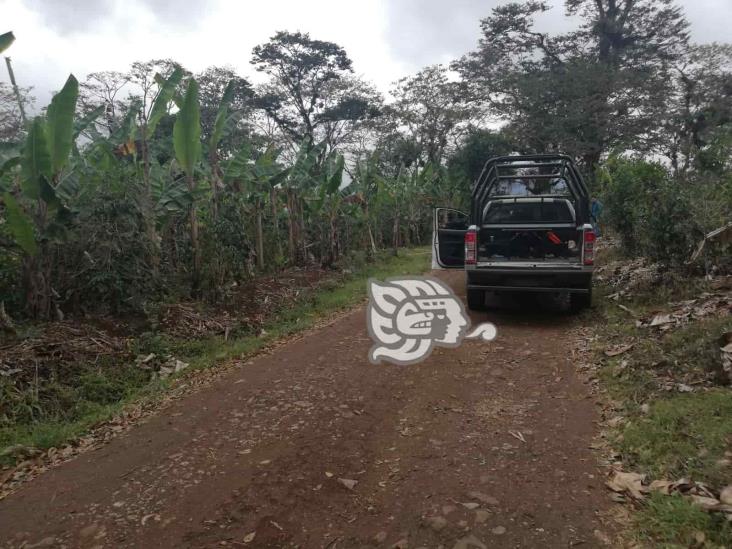 Hallan a sujeto pendiendo de un árbol en Amatlán