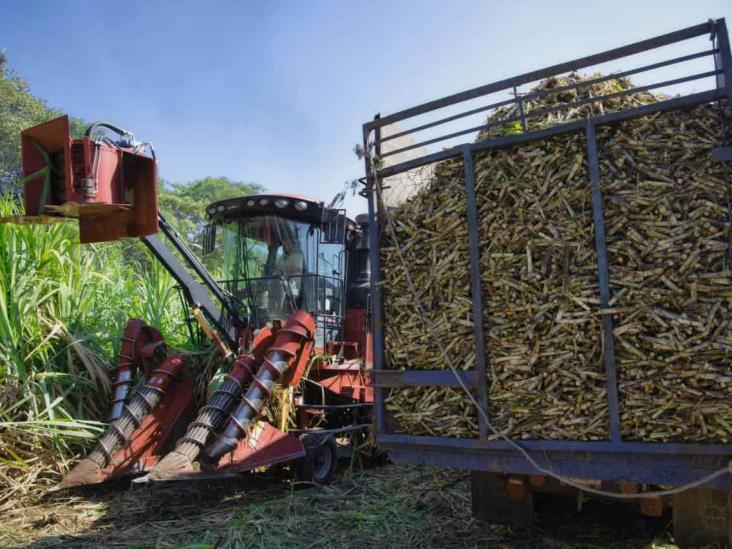 Veracruz ocupa primer lugar en producción de caña de azúcar