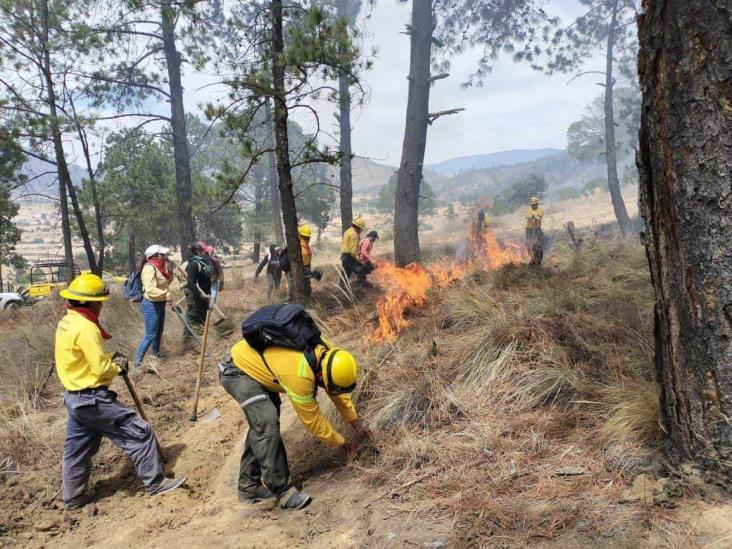 Se registran dos incendios forestales en Perote