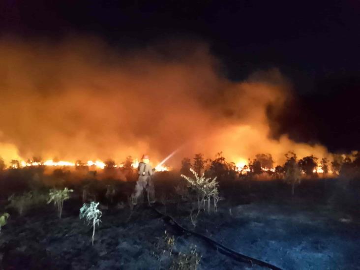 Fuego arrasa más de 50 hectáreas en Acayucan y Sayula