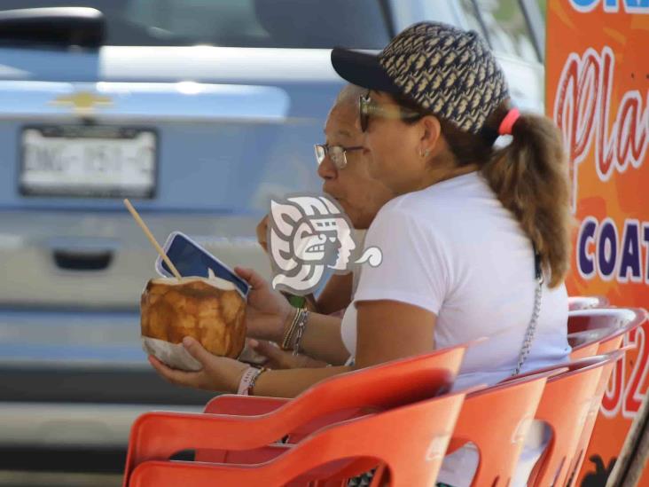 Cocos, por las nubes; hasta en 40 pesos en Coatzacoalcos