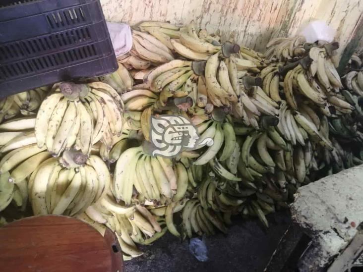 ¡Corre por los tuyos! Disminuye el precio del plátano en Coatzacoalcos