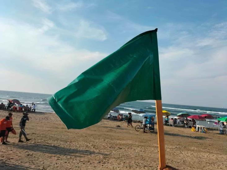 Contacto con medusas manda al hospital a 10 bañistas en playa de Coatzacoalcos