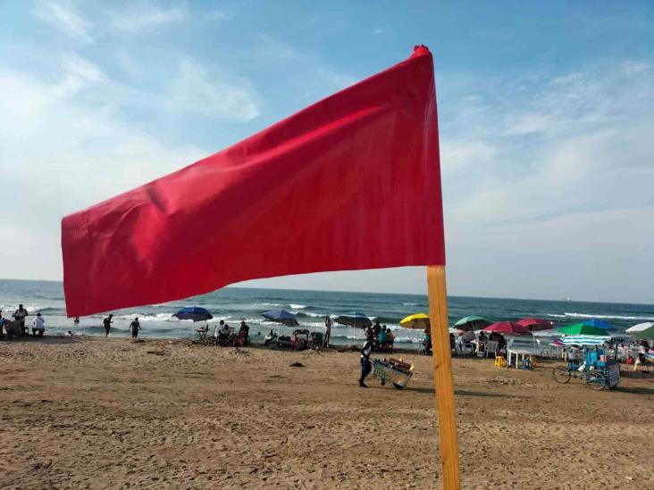 Contacto con medusas manda al hospital a 10 bañistas en playa de Coatzacoalcos