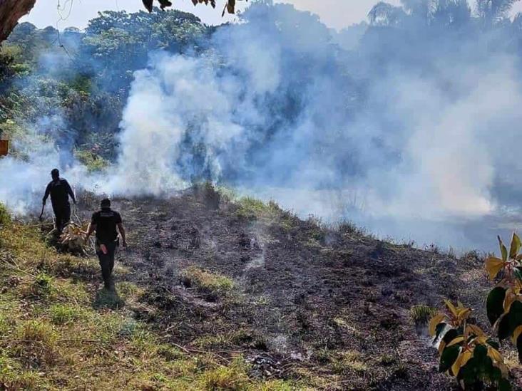 Incendios en Moloacán no han sido severos 