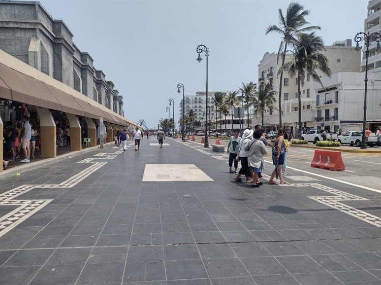 Buscan reforestar el Malecón de Veracruz