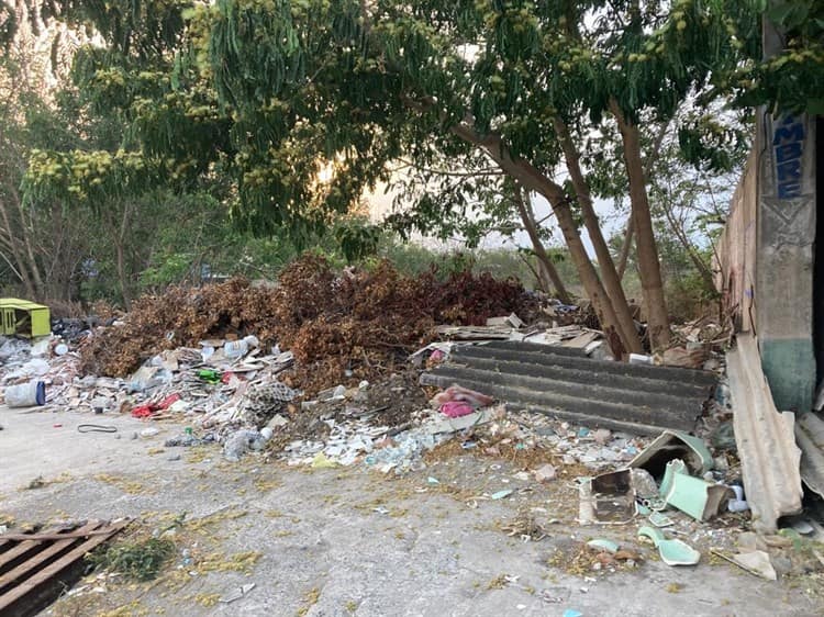 Convierten fraccionamiento Pinos, en Veracruz, en basurero