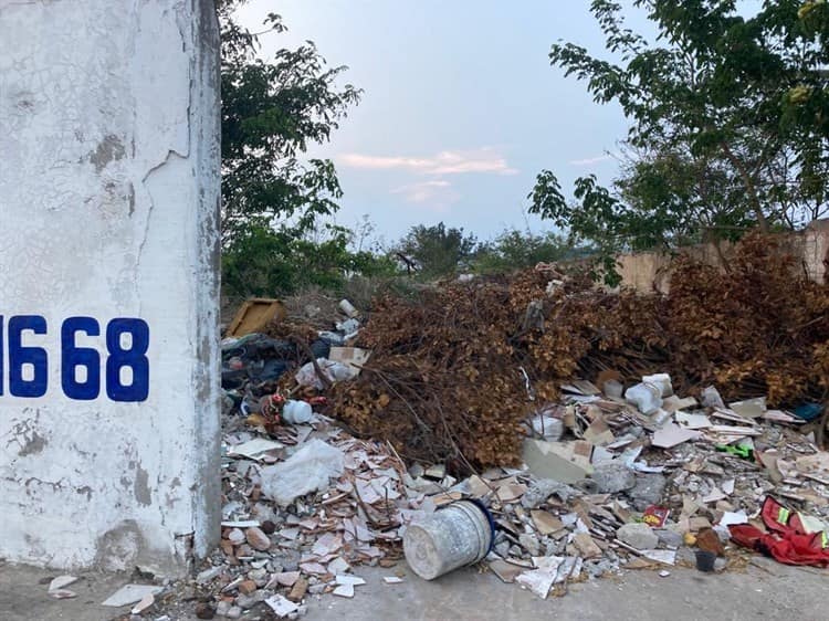 Convierten fraccionamiento Pinos, en Veracruz, en basurero