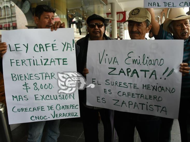 Productores demandan reorientación de la cafeticultura mexicana
