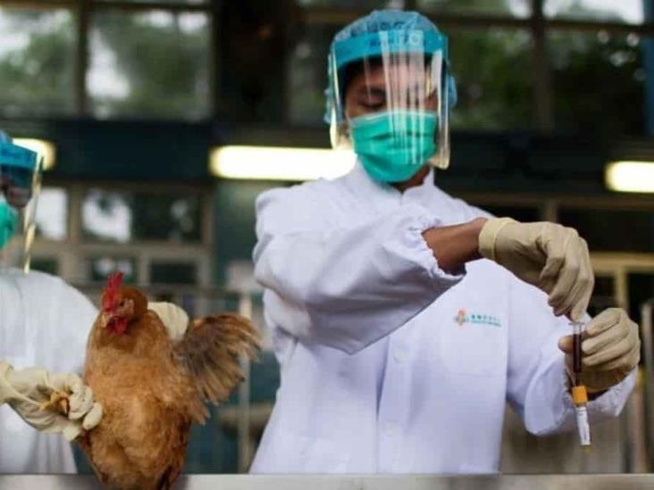 OMS anuncia primera muerte por gripe aviar en China
