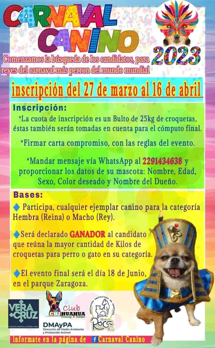 Con Carnaval Canino, busca recolectar alimento para animales en Veracruz