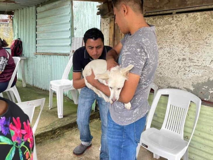 ¡Vacúnalos ya!: arranca semana de vacunación antirrábica en Coatza