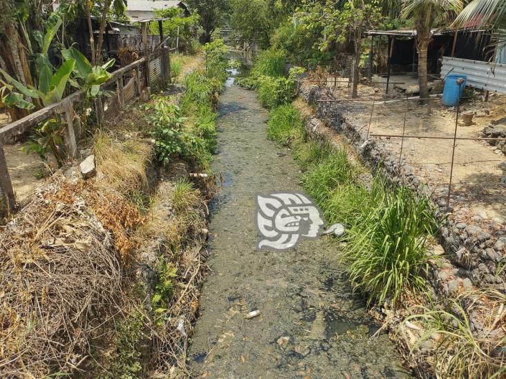 Se estanca arroyo en VIlla Cuichapa con altas temperaturas, familias aquejan pestilencia