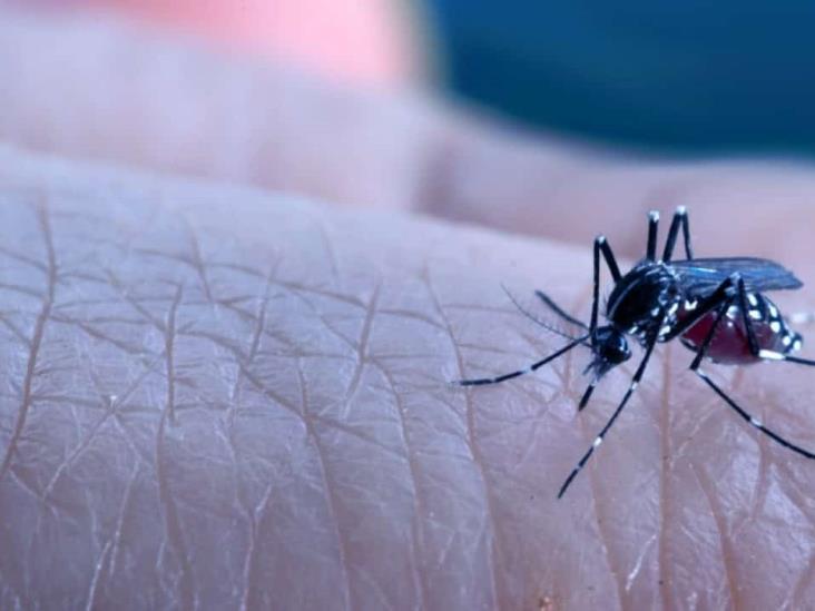 Veracruz se mantiene en tercer lugar por casos de dengue
