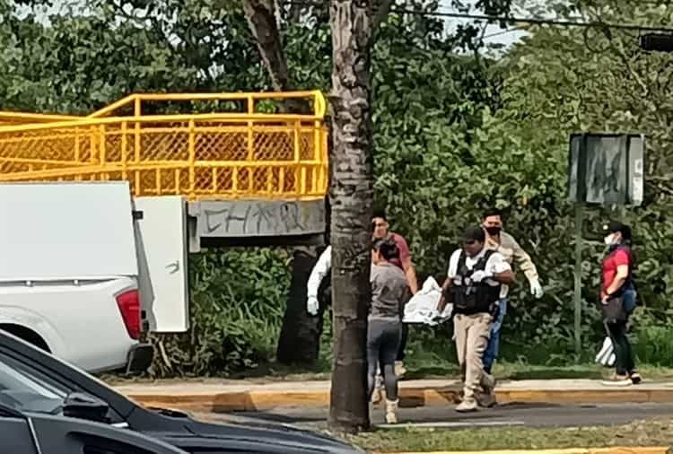 Hallan cadáver en descomposición en avenida Lázaro Cárdenas, en Xalapa