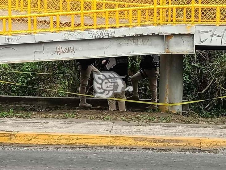 Hallan cadáver en descomposición en avenida Lázaro Cárdenas, en Xalapa