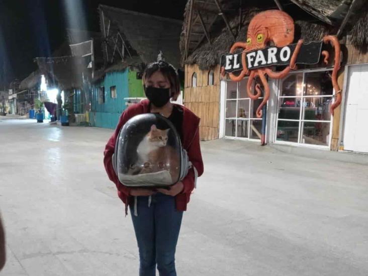 ¡Ya está en casa! Rescatan a Panchito, gatito perdido en playa de Veracruz