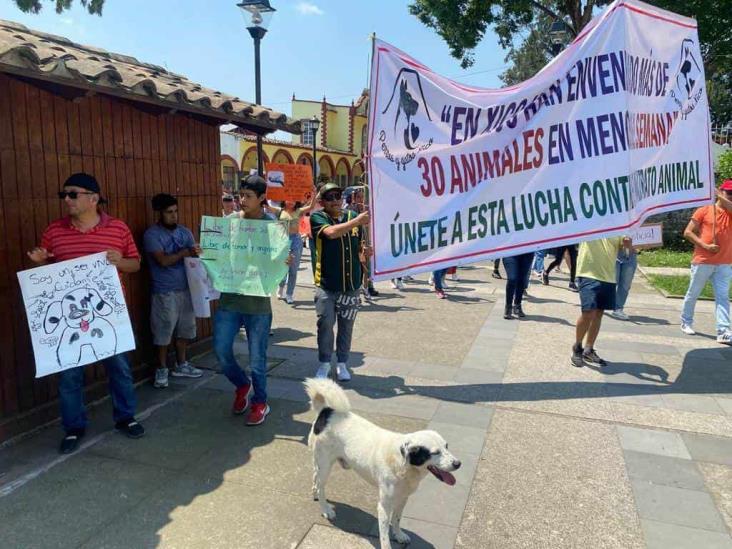 Animalistas interponen denuncia por envenenamiento masivo de perros en Xico