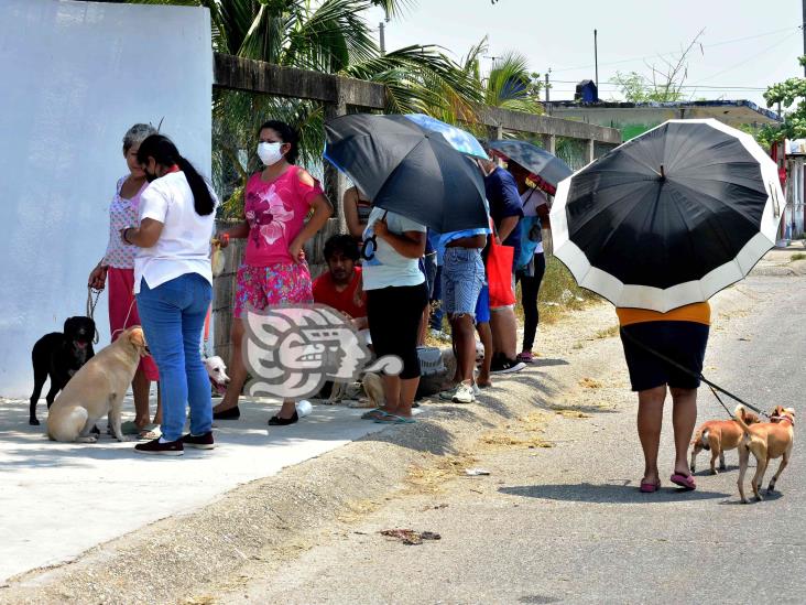 Inicia Jurisdicción XI con vacunación antirrábica en Coatzacoalcos