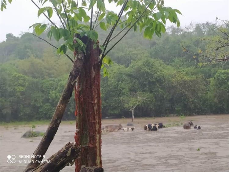 Por lluvias, suben de nivel ríos que rodean Misantla