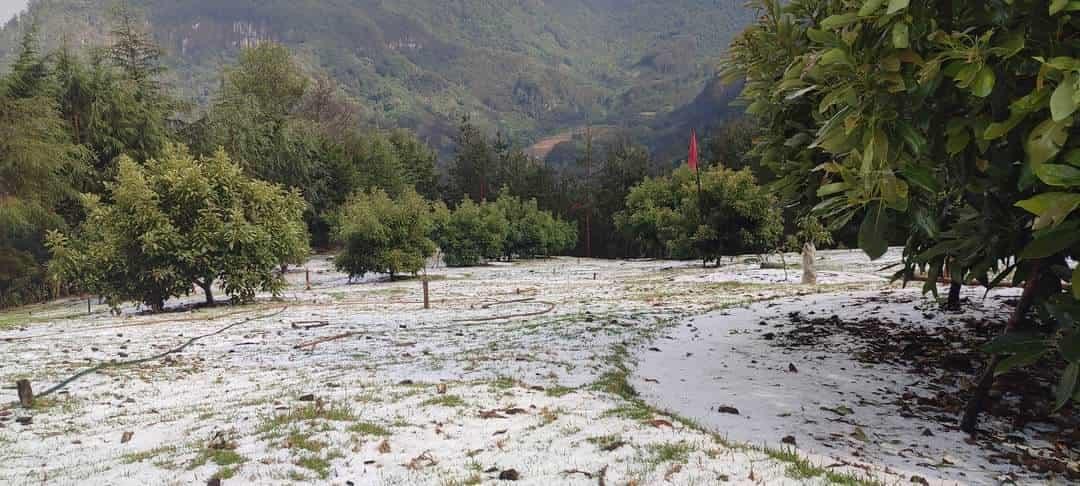 Nueva granizada en comunidades de Calcahualco y Coscomatepec