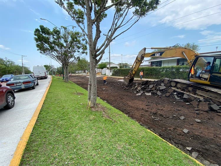 Toma precauciones; arranca rehabilitación de avenida Rébsamen, en Xalapa