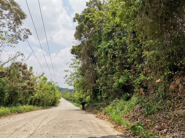 Continúa la búsqueda de fosas clandestinas en Ixhuatlán del Sureste