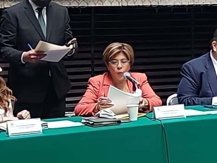 Modificamos ley para evitar abusos de fuerzas armadas: Rosa María