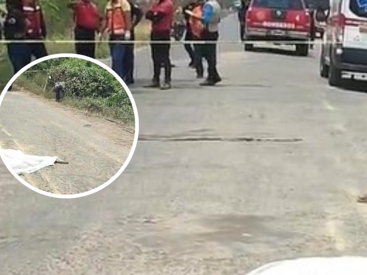 Muere hombre tras ser atropellado en la Cosamaloapan – Carlos A. Carrillo