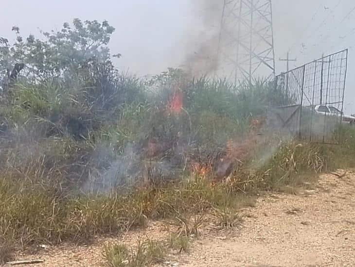 ¡Por altas temperaturas! Se registra quema de pastizal en tramo Nanchital- Ixhuatlán del Sureste