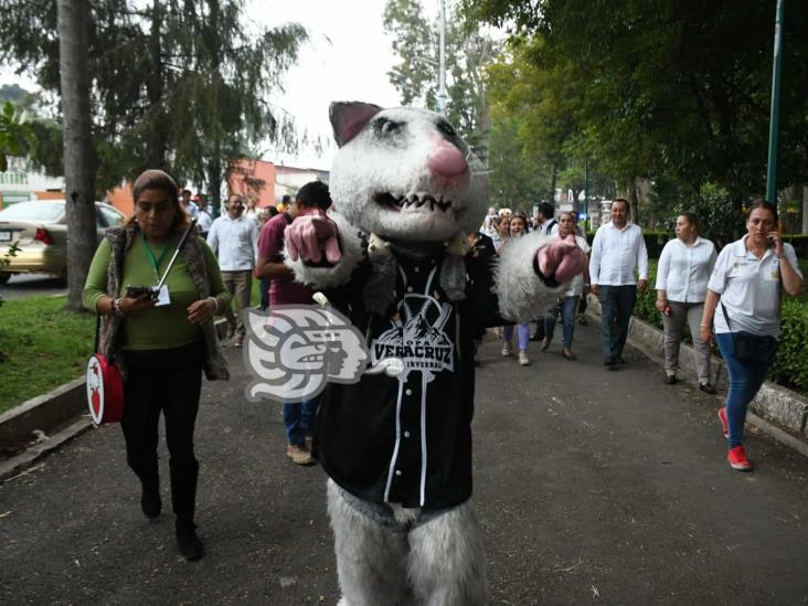 Por la inclusión; realizan en Xalapa gran desfile de botargas (+Video)